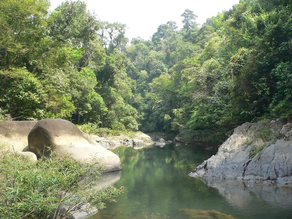 Khao Sok - Kdesi v pralese