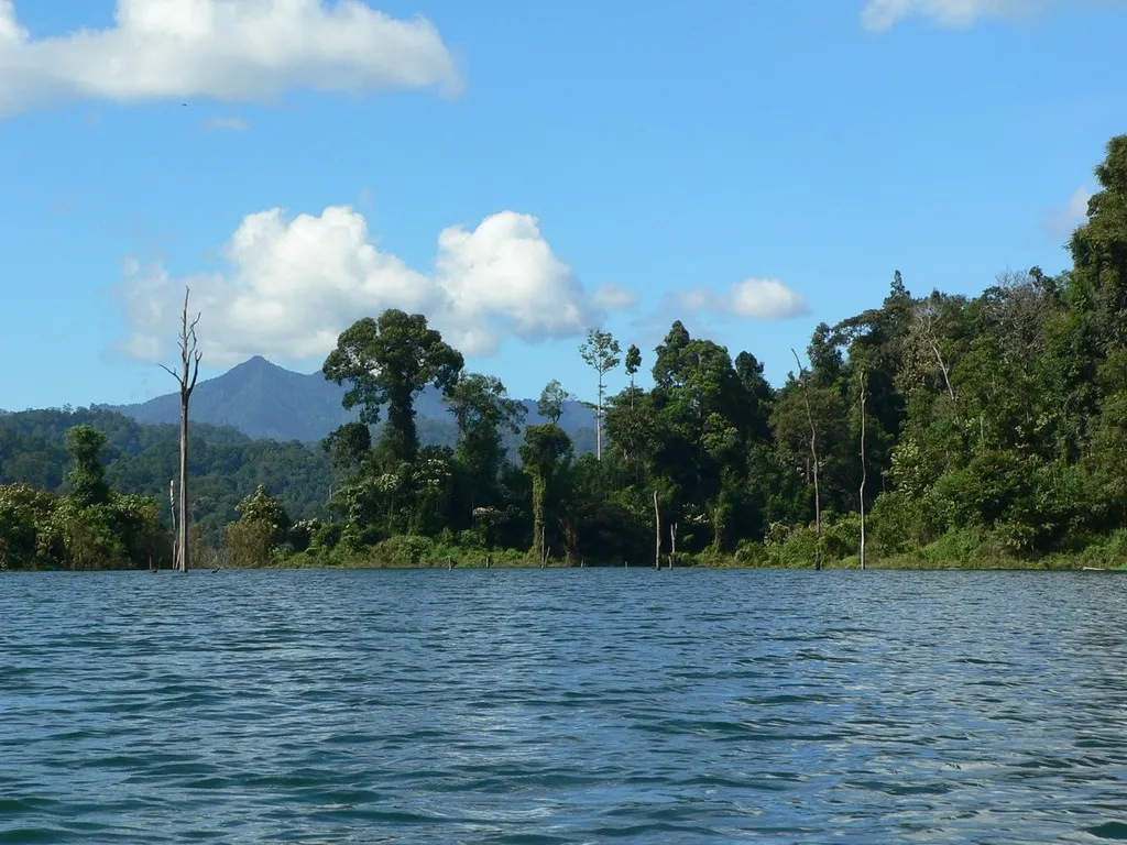 Khao Sok 2005 - ty panoramata
