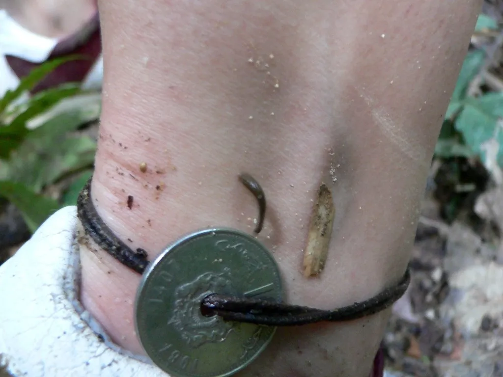 Khao Sok 2005 - přisátá pijavice (tahle je malinká)