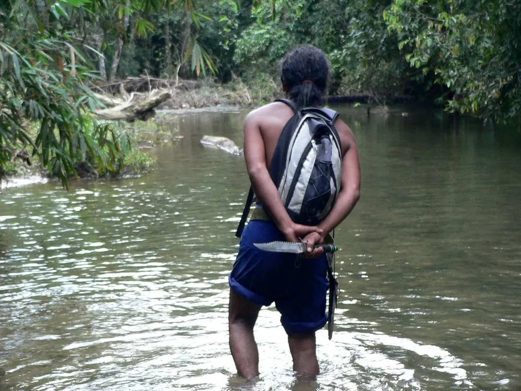 Khao Sok 2005 - jediná pralesní cesta je říčka